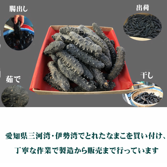 乾燥ナマコ A〜Ｂ品１ｋｇ 乾燥なまこ 乾燥海鼠 干しなまこ 魚介類