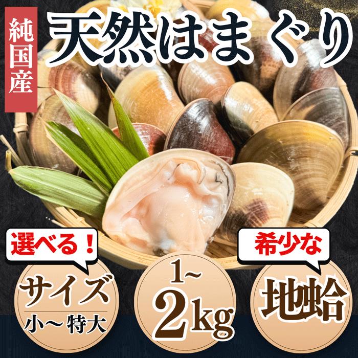 (1,000円OFFクーポン配布中) 天然 国産 ハマグリ 蛤 はまぐり 特大サイズ ひな祭り 節句 ひなまつり