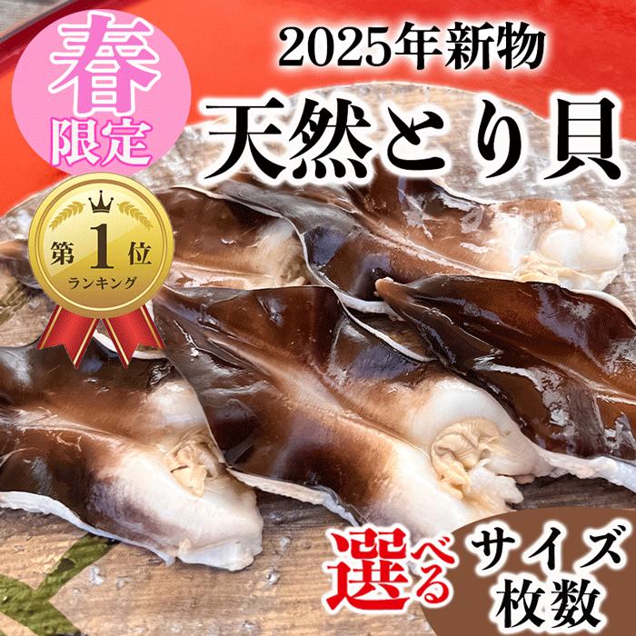 (1,000円OFFクーポン配布)(楽天ランキング１位受賞) とり貝 トリ貝 鳥貝 冷凍 お刺身 セット 愛知県産 国産 送料無料 お刺身 愛知県 寿司 貝
