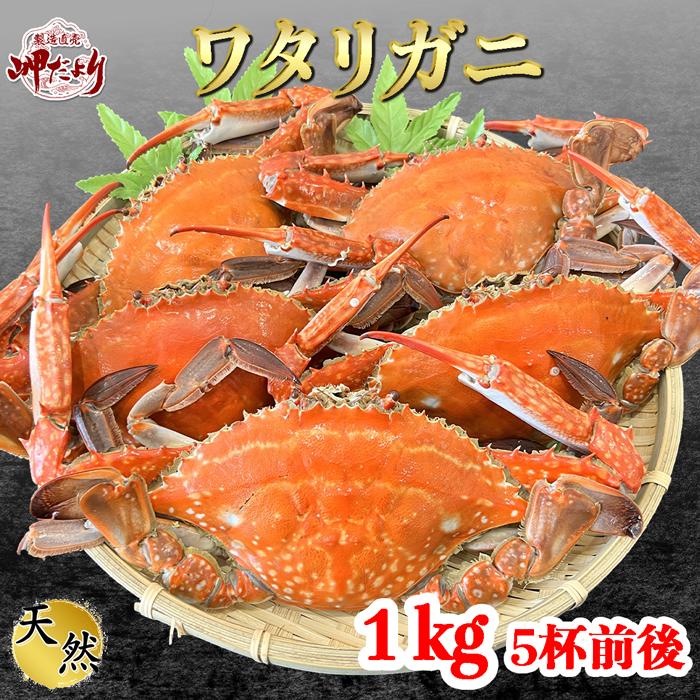 渡り蟹 ボイル ワタリガニ オス １kg ５杯前後 最新入荷