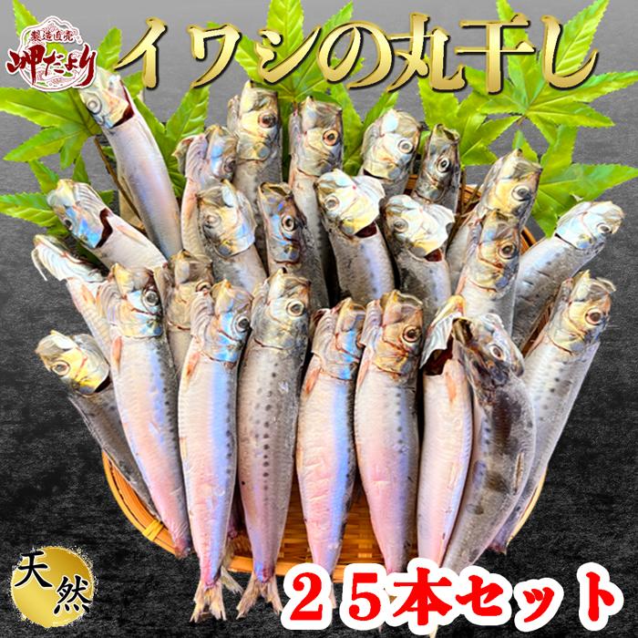 最大49%OFFクーポン 焼くだけ簡単 にしんスティック 500g 4〜5人前 北海道 礼文島産<br><br>にしん グルメ 食品 食べ物 魚 干物  お取り寄せ ご飯のお供 ご飯のおとも おつまみ 高級 青空レストラン 干物スティック