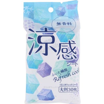 涼感さらさらパウダーシート 無香料 30枚 40個セット Dcgroup Com