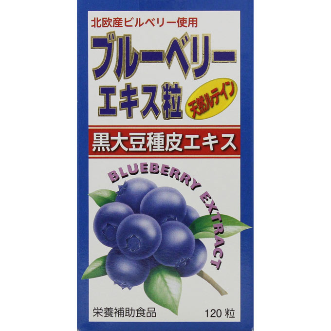 ブルーベリーエキス粒　イン　ルテインα　120粒 12個セット｜ビタミンガーデン