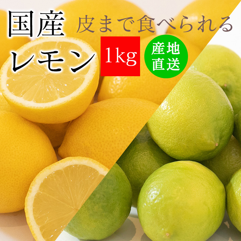楽天市場】レモン 国産 2kg 送料別 ＜9月下旬頃より順次出荷