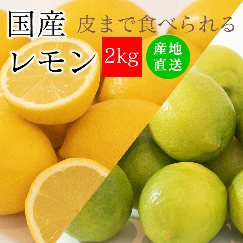 【楽天市場】レモン 国産レモン 訳あり 1kg ＜クール便＞ ＜ 皮まで食べられるレモン ＞ 送料無料 ノーワックス 防腐剤 防カビ剤 不使用 れもん  広島県産 他 わけあり 不揃い 100％ 箱買い ワックス 不使用 大きさ おまかせ ビタミンC くだもの 果実 柑橘 家庭用 ...