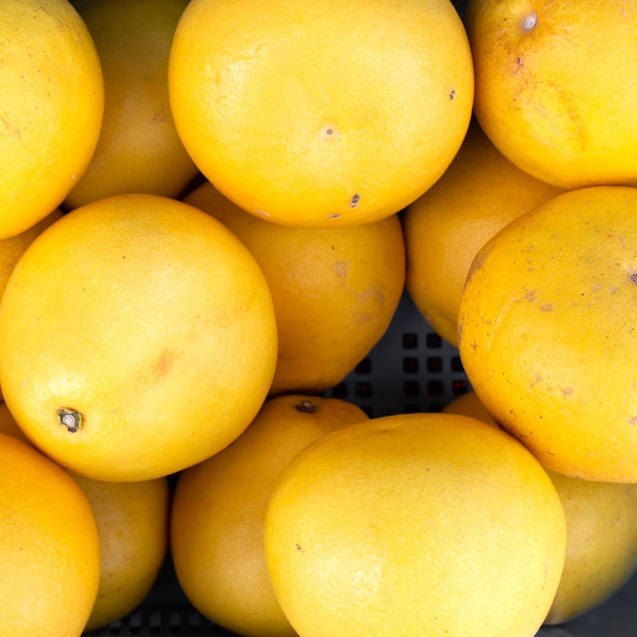 楽天市場】文旦 訳あり 大小ミックス 10kg（20-30玉前後）送料無料