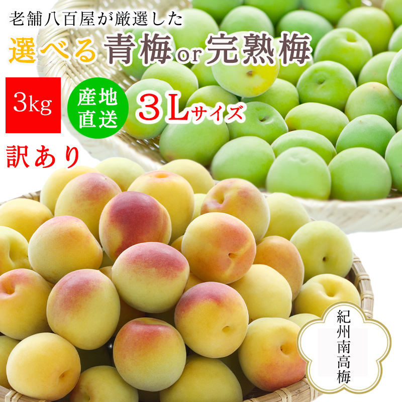 超訳あり！ 南高梅 10kg - 通販 - guianegro.com.br