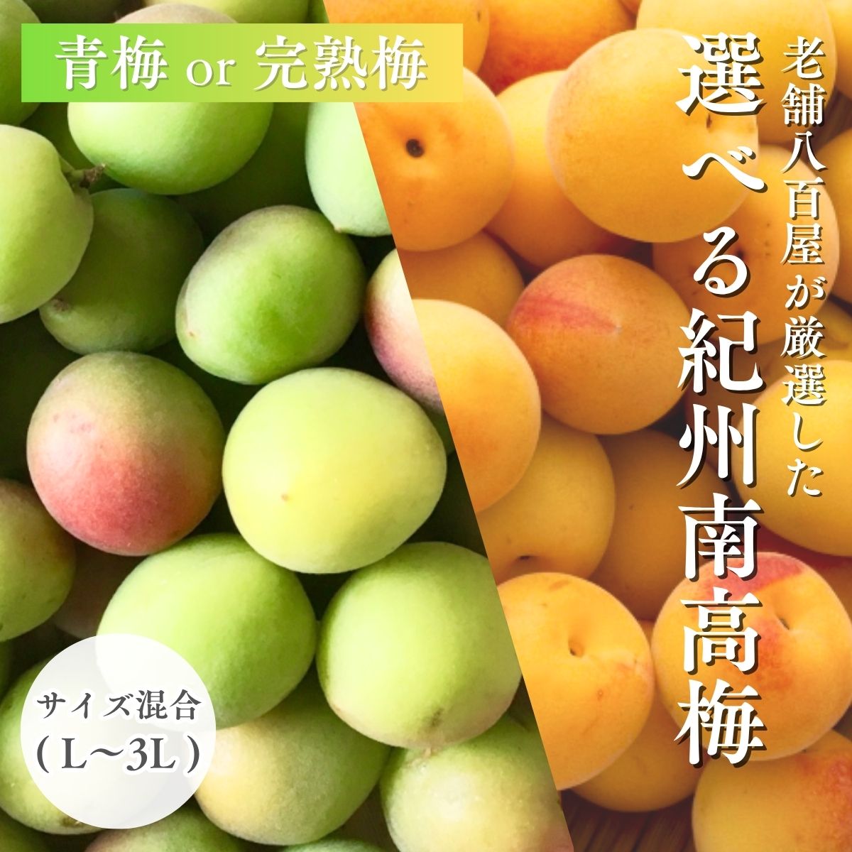 楽天市場】南高梅 生梅 完熟梅 青梅 訳あり サイズ混合( L～3L