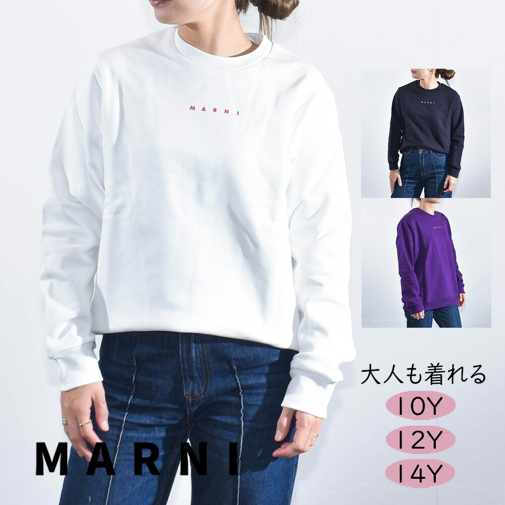 楽天市場】アーペーセー ニット トップス ロゴ プルオーバー