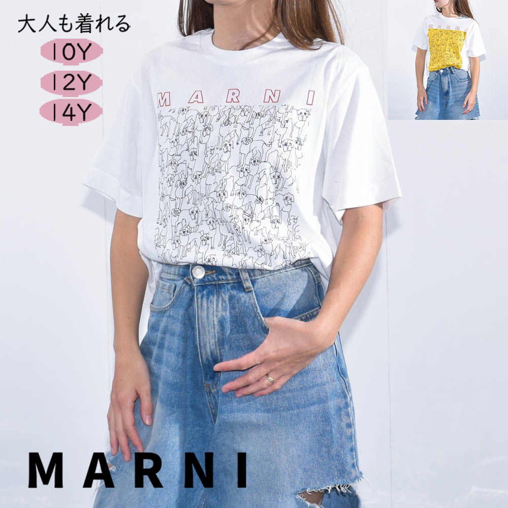 楽天市場】マルニ Tシャツ レディース 花柄 ロゴ フラワー 半袖