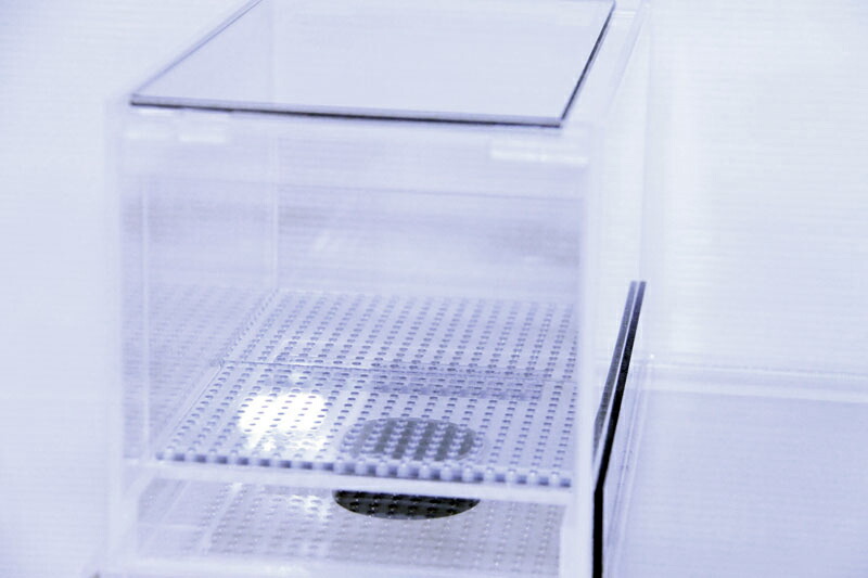 カズ　ウールボックス カズ ウールボックス カズ ウールボックス 楽天市場】ウールbox