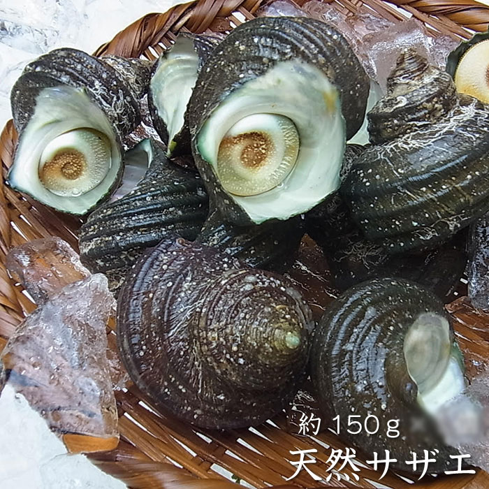 imgrc0104969679.jpg