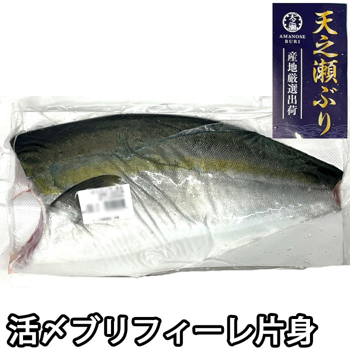 【下処理承ります！】天之瀬 ブリフィーレ 半身（冷蔵便）ぶり 鰤 刺身 しゃぶしゃぶ 生 養殖