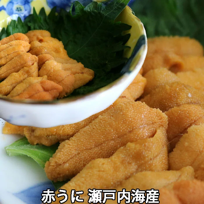 赤うに 約40～45gX1枚～2枚 瀬戸内海産 板うに ウニ 雲丹 生（冷蔵便）