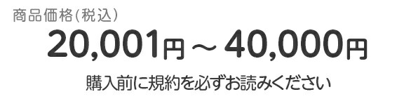 あんしん延長保証(自然故障+物損プラン)商品価格 20,001円〜40,000 ...