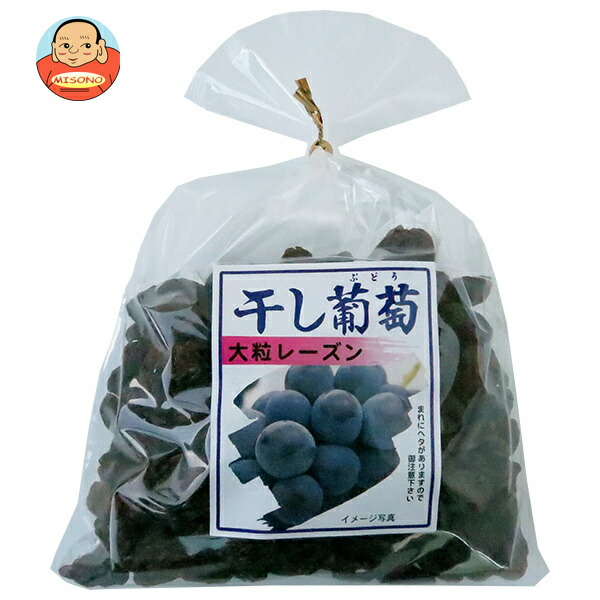 楽天市場】東洋ナッツ トン 有機栽培レーズン 110g×10袋入×(2