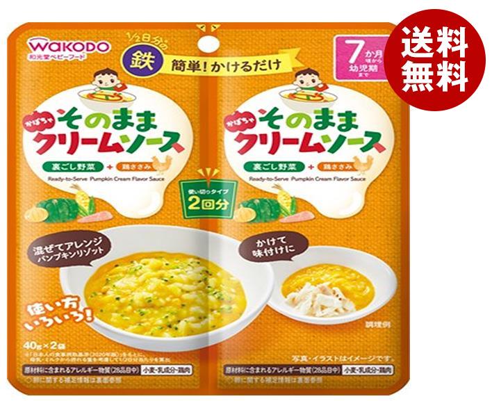 送料無料 授乳用品 ベビー用食事用品 2ケースセット アサヒグループ食品 かぼちゃクリーム そのままソース そのままソース 北海道 沖縄 離島は別途送料が必要 離乳食 ベビーフード 40g 2袋 48袋入 2ケース 卸し売り購入セール