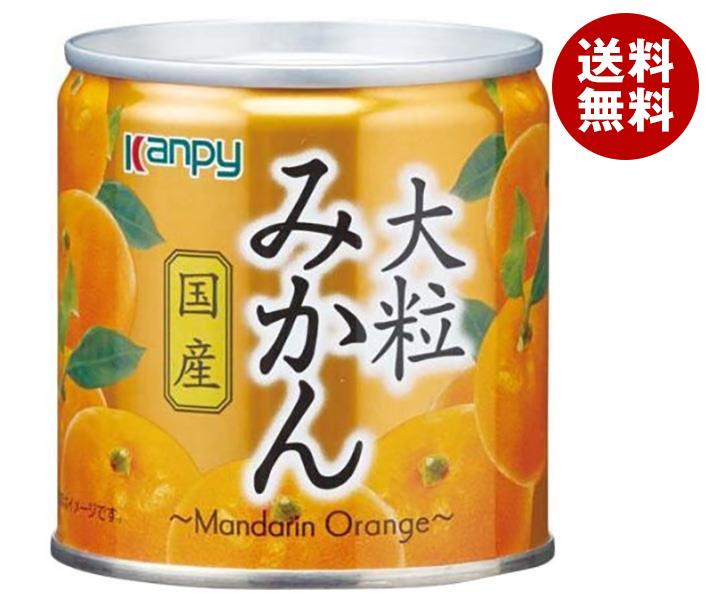 【道子】 金太洋 甘夏みかん 2ケース 60本 つぶみかん 楽天市場】太洋食品 金太洋 つぶ甘夏みかん 250g缶×30本入×(2