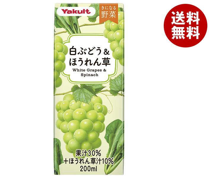 ヤクルト きになる野菜 白ぶどう＆ほうれん草 200ml紙パック×24本入×(2ケース)｜ 送料無料 野菜 果汁 野菜ジュース 紙パック