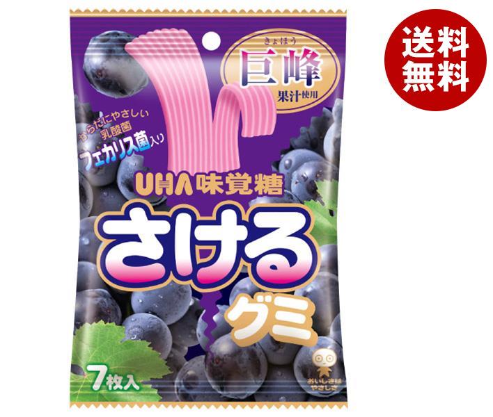 UHA味覚糖 ぷっちょ グレープ 76本セット UHA味覚糖 ぷっちょグミ ぶどう 40g×10個入｜ 送料無料 お菓子