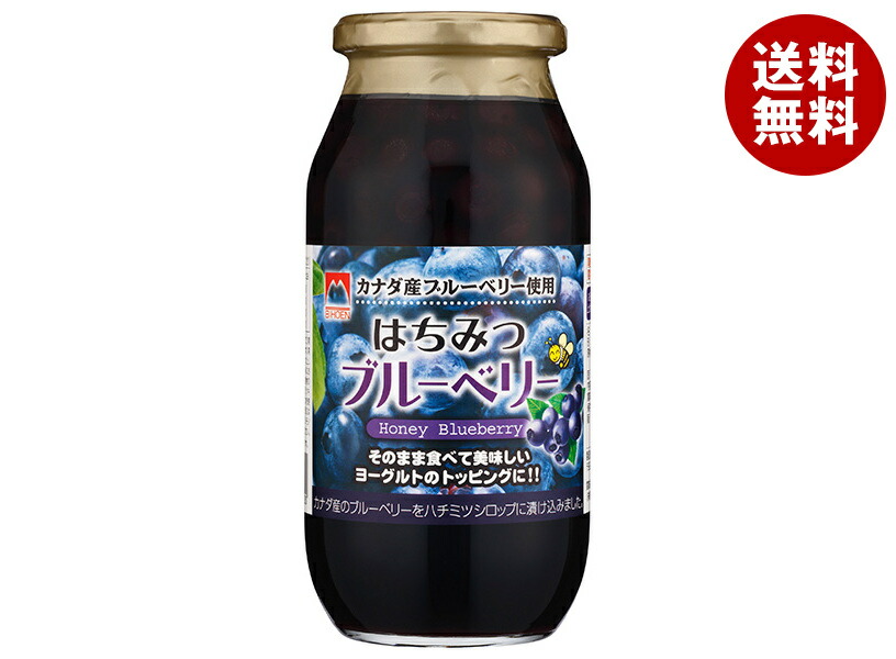 加藤美蜂園 はちみつブルーベリー 650g瓶×6本入×(2ケース)｜ 送料無料 嗜好品 シロップ 瓶 ハチミツ 蜂蜜 プルーベリー＆ハニー