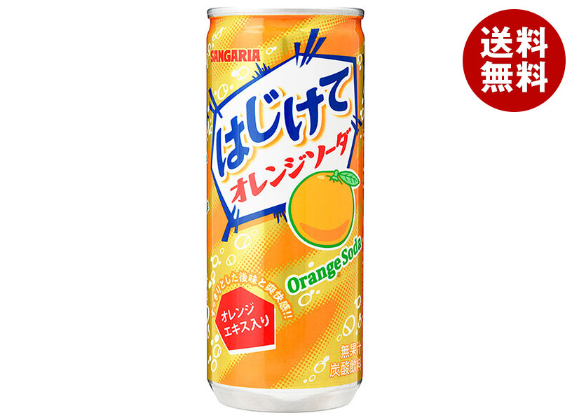 サンガリア⭐︎ b18-434-1.jpg