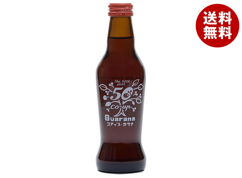 [ポイント5倍！4/17(金)9時59分まで全品対象エントリー&購入]川崎飲料 コアップガラナ 230ml瓶×24本入×(2ケース)｜ 送料無料 炭酸 瓶