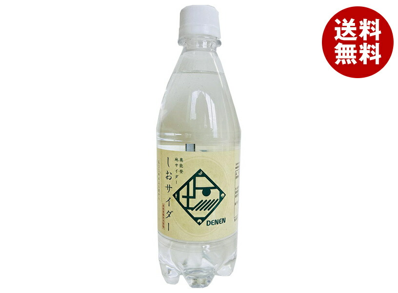 Ante(アンテ) 奥能登地サイダー しおサイダー 500mlPET×24本入×(2ケース)｜ 送料無料 炭酸 サイダー しお 塩