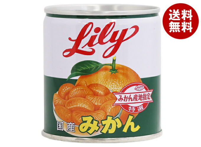 [ポイント5倍！4/17(金)9時59分まで全品対象エントリー&購入]リリーコーポレーション Lily リリーのみかん 5号缶 295g缶×24個入×(2ケース)｜ 送料無料 缶詰 果物 菓子材料 ミカン