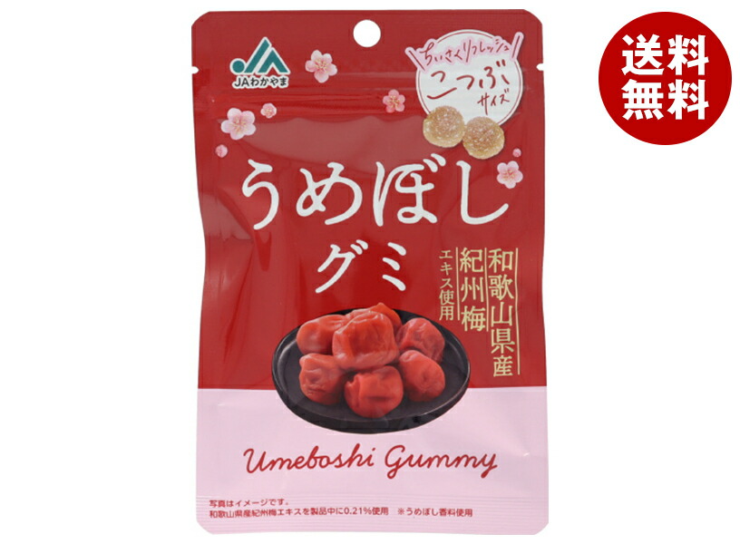 楽天市場】ノーベル製菓 男梅グミ 38g×6袋入×(2ケース)｜ 送料