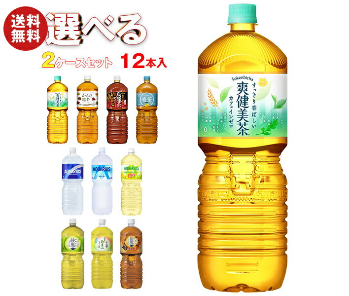 Coca-Cola 500ml ガラスボトル 2本セット コカ・コーラ 500ml ペットボトル 24本入 炭酸飲料 炭酸 コーラ