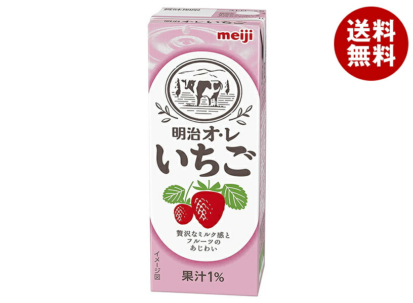 いちこ いけださん家のいちご250g×2パック【送料込】|リージョネット