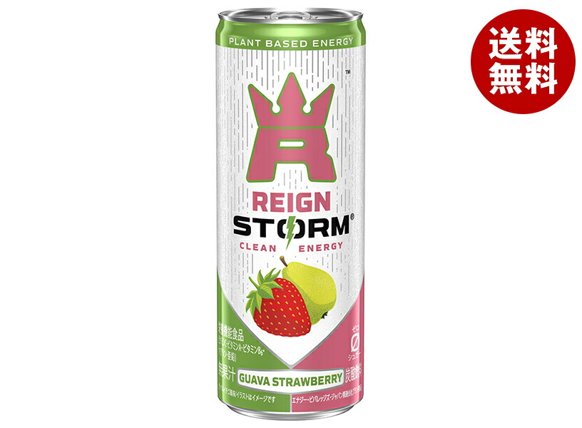 アサヒ飲料 レインストーム グァバストロベリー 250ml缶×30本入×(2ケース)｜ 送料無料 エナジードリンク 炭酸 栄養