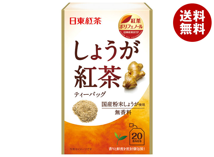 [ポイント5倍！7/26(日)1時59分まで全品対象エントリー&購入]三井農林 日東紅茶 しょうが紅茶 2.2g&times;20袋&times;48袋入｜ 送料無料 紅茶 嗜好品 生姜｜MISONOYA店