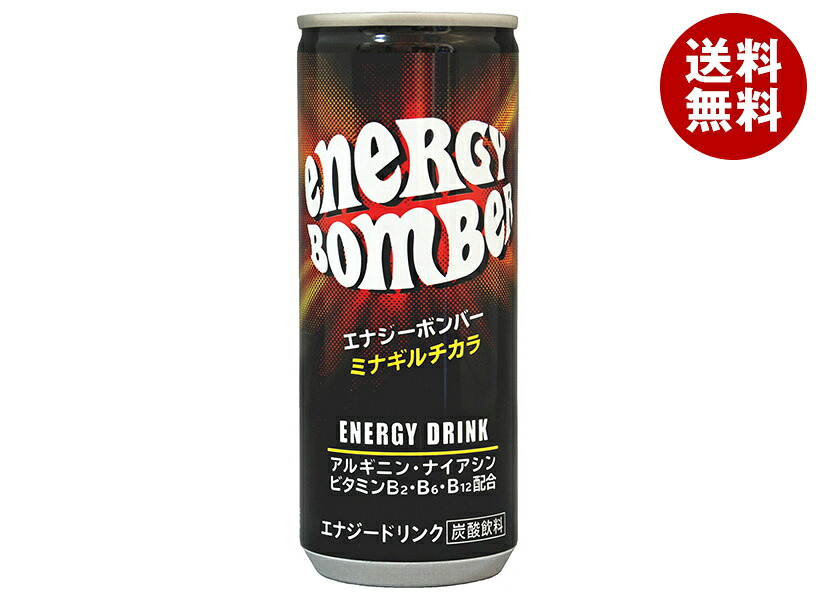 [ポイント5倍！4/10(金)1時59分まで全品対象エントリー&購入]アシード エナジーボンバー 250ml缶×30本入×(2ケース)｜ 送料無料