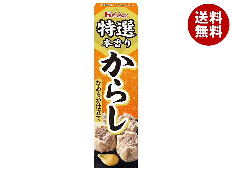 ハウス食品 特選本香り からし 42g×10本入×(2ケース)｜ 送料無料 からし 辛子 チューブ 調味料 特選