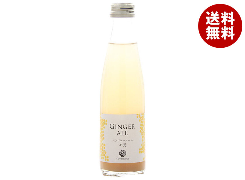 スタジオオカムラ ジンジャーエール小夏 195ml瓶×24本入｜ 送料無料 炭酸 ジンジャエール ビン