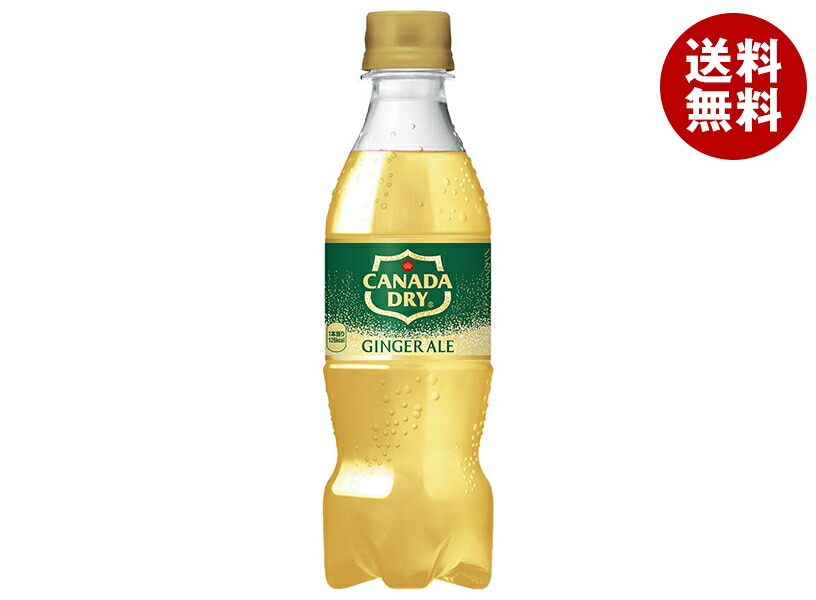 [ポイント5倍！4/17(金)9時59分まで全品対象エントリー&購入]コカコーラ カナダドライ ジンジャーエール 350mlペットボトル×24本入×(2ケース)｜ 送料無料 炭酸 ジンジャエール 生姜