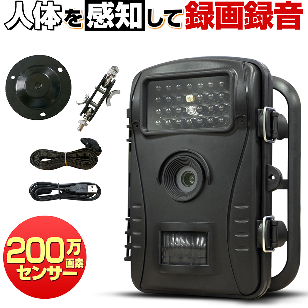 防犯カメラ トレイルカメラ 屋外 人体感知 家庭用 防犯カメラ 電池式 小型 Sdカード 録画 人体感知 防犯関連グッズ 人感センサー 屋内 駐車場 車上荒らし 車庫 録音 防水 工事不要 赤外線 暗視 フルハイビジョン 0万画素 セット Hp250 送料無料 防犯百貨 ホーム