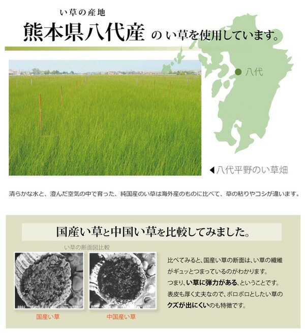 97％以上節約 い草 上敷き ラグマット 日本製 抗菌防臭 耐久性抜群