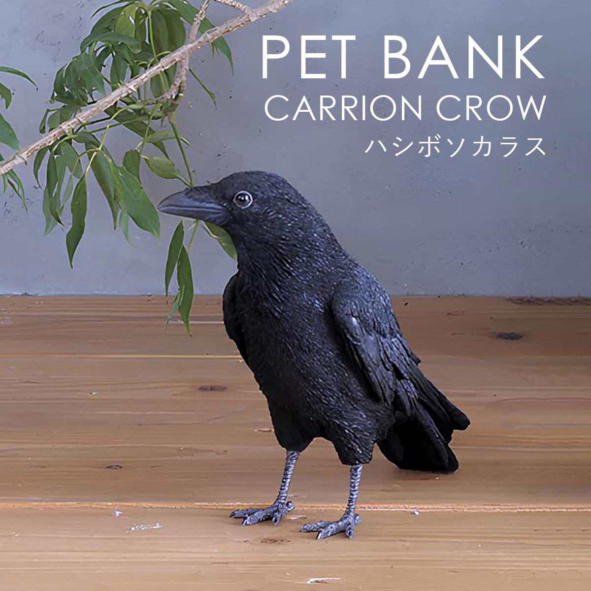 【楽天市場】PET BANK ペットバンク CARRION CROW ハシボソカラス | カラス / 烏 / 鴉 / 貯金箱 / オブジェ ...
