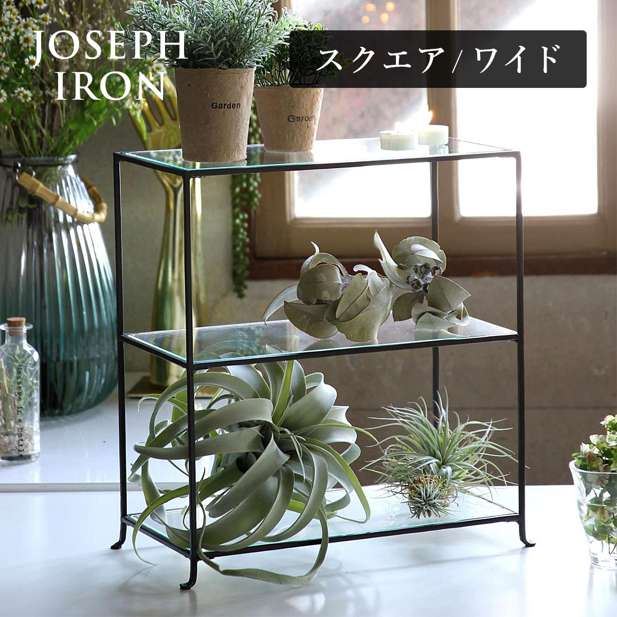 Joseph Iron ジョセフアイアン ３段ガラスディスプレイ台 | ディスプレイ / アンティーク調 / インダストリアル / シャビ― / インテリア / 鉄 / 店舗 / 什器 / 展示 / SOW / ソウ【沖縄・離島 お届け不可】