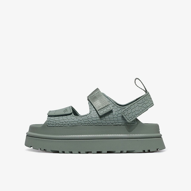 UGG [アグ ウィメンズ ゴールデングロー エン主任者] W GOLDENGLOW EMBOSSED ARTICHOKE (1175311-ART)
