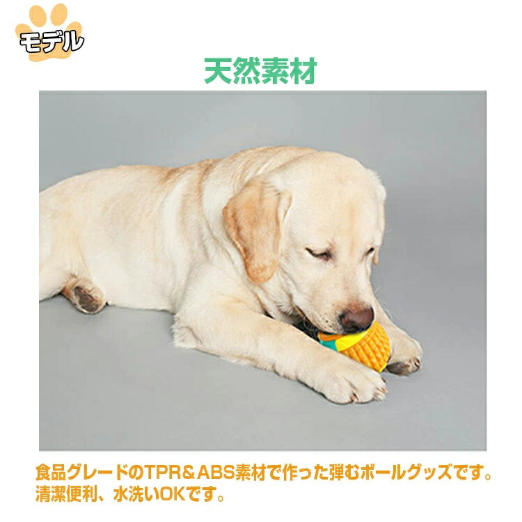 犬おもちゃ 犬 素材犬遊び 投げるボール 耐久性 インタラクティブ玩具 噛む ボール 知育玩具 ペット用品 面白い 清潔 おもちゃ