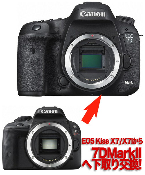 Camera Mitsuba Let S Upgrade From Canon Eos 7d Markii Eos Kiss