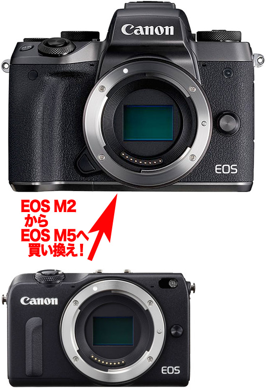 楽天市場 デジタル一眼レフ ミラーレス一眼 キヤノンデジタル一眼カメラ Eos M5 ミラーレス一眼 カメラのミツバ