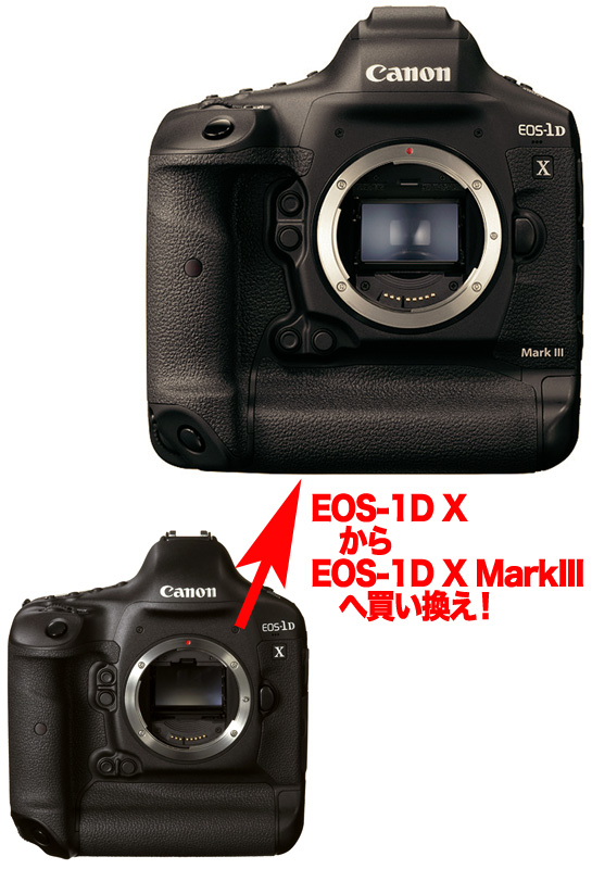 楽天市場】キヤノン EOS-1DX MarkIII ボディー フルサイズ高速連写