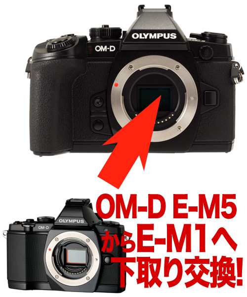 OLYMPUS OM-D E-M1←E-M5 デジタル一眼ボディーグレードアップ