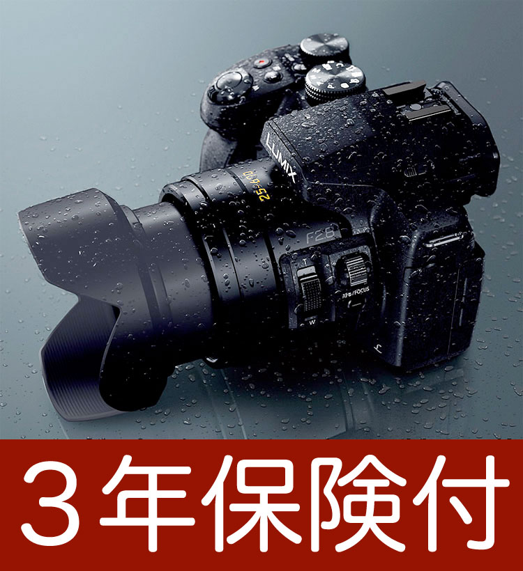 史上一番安い パナソニック LUMIX DMC-FZ300-K 全域F2.8光学24倍ズーム