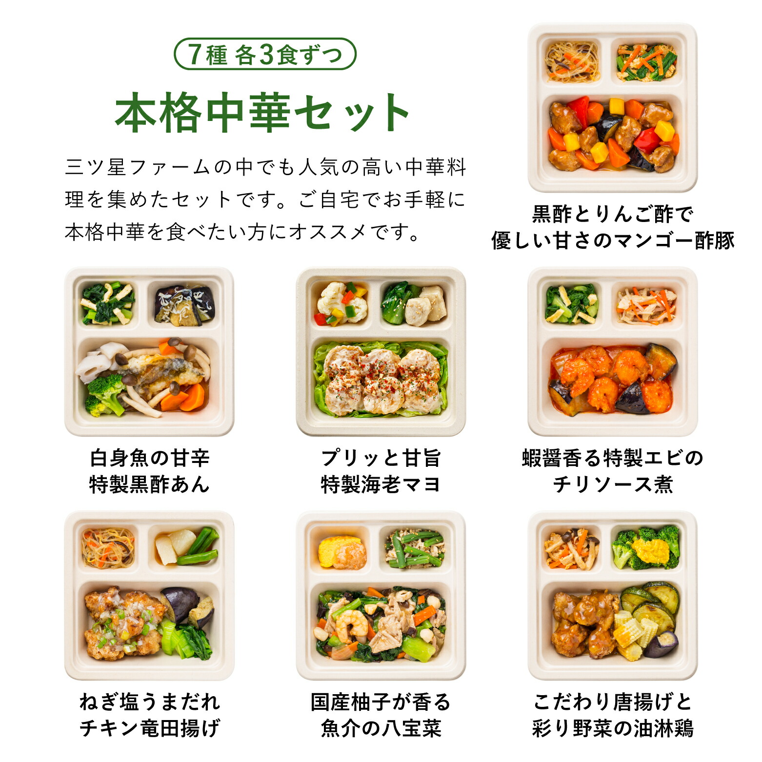 51%OFF!】 冷凍弁当 お弁当 おかず 本格中華 21食セット 冷凍食品 三ツ星ファーム 一人暮らし カロリー 健康 簡単 時短調理 減塩 野菜不足  送料無料 www.dexion.com.au